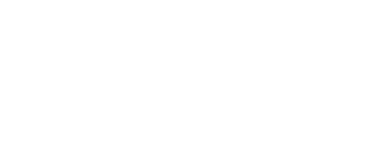 Fort Capital